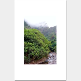 Iao Valley State Park Study 3 Posters and Art